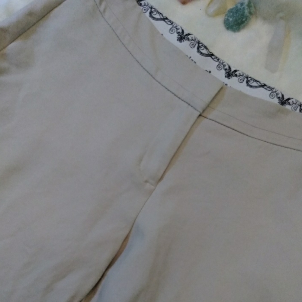 Peter Nygard Khaki pants 
10